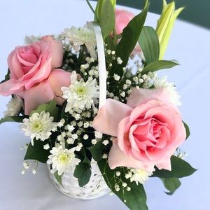 Meet your Posher, Kristine